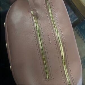 Hammitt Blush Pink Leather Crossbody Bag with Gold Zippers